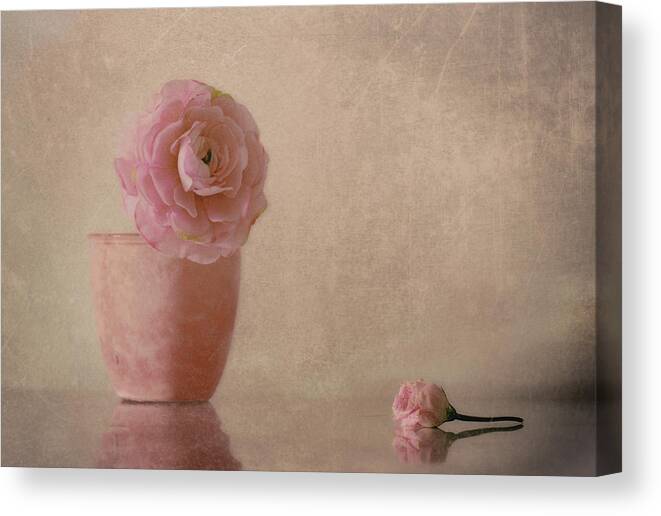 Pink Canvas Print featuring the photograph Untitled #1 by Elena Arjona