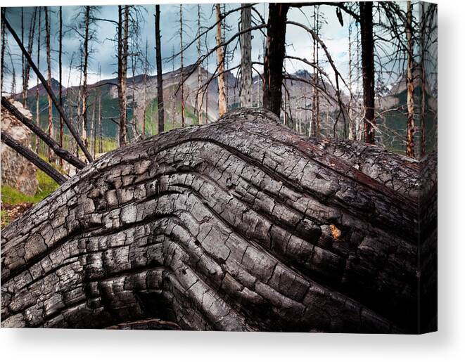 Material Canvas Print featuring the photograph Jasper National Park, Alberta, Canada #2 by Mint Images/ Art Wolfe