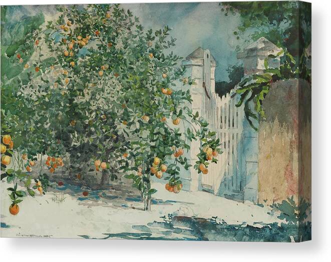 Impressionism Canvas Print featuring the painting Orange Trees And Gate by Winslow Homer