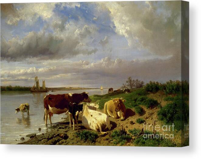 Landscape With Cattle Canvas Print featuring the painting Landscape with Cattle by Anton Mauve
