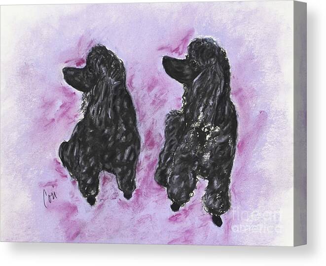 Standard Poodle Canvas Print featuring the drawing A Perfect Match by Cori Solomon