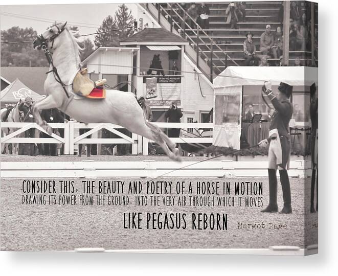 Above Canvas Print featuring the photograph AIRS ABOVE THE GROUND quote by Dressage Design