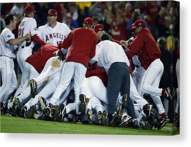Los Angeles Angels Of Anaheim Canvas Print featuring the photograph Angels Celebrate by Al Bello