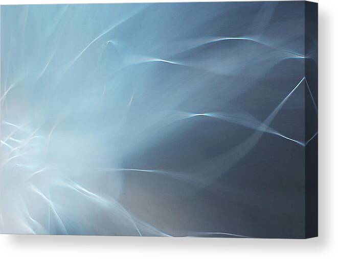 Abstract Canvas Print featuring the photograph Angels Wing by Michelle Wermuth