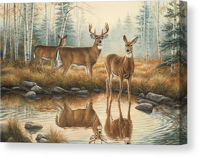 Lake Canvas Print featuring the painting Autumn Reflections by Wild Wings