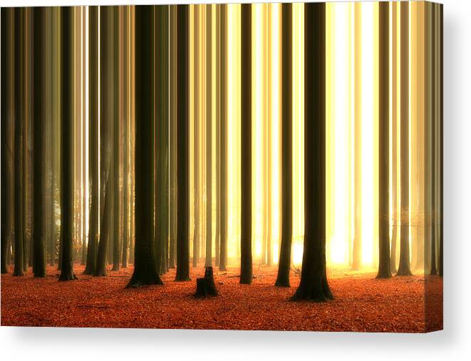 Scenics Canvas Print featuring the photograph Barcode Beeches by Bob Van Den Berg Photography
