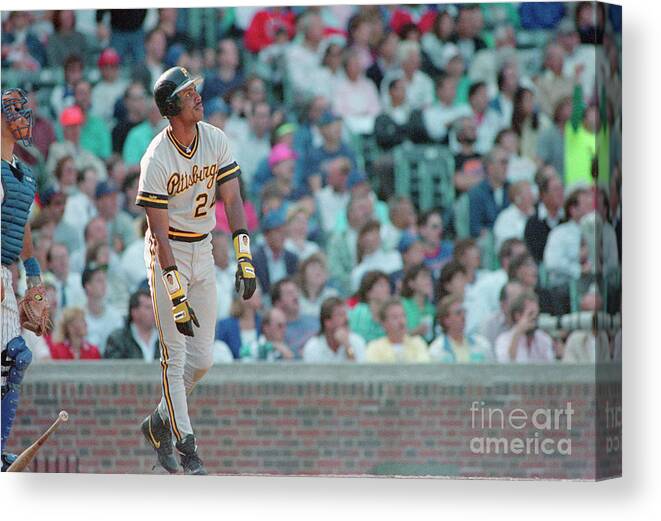 People Canvas Print featuring the photograph Barry Bonds Admires His Homer by Bettmann