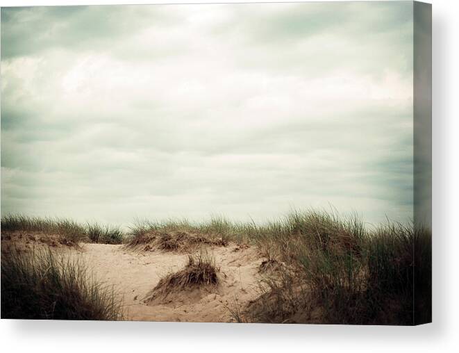 Sand Dunes Canvas Print featuring the photograph Beaches by Michelle Wermuth