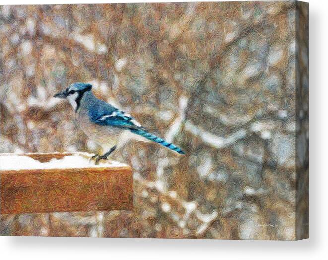 Blue Jay Canvas Print featuring the photograph Blue Jay Morning by Diane Lindon Coy