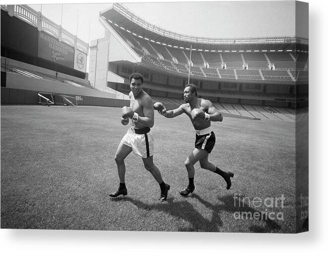 People Canvas Print featuring the photograph Boxer Ken Norton Chases Muhammad Ali by Bettmann