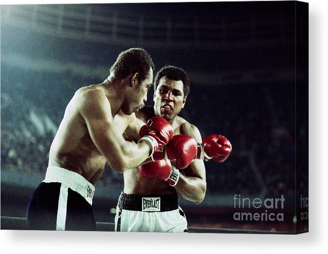 People Canvas Print featuring the photograph Boxers Ken Norton And Muhammad Ali by Bettmann