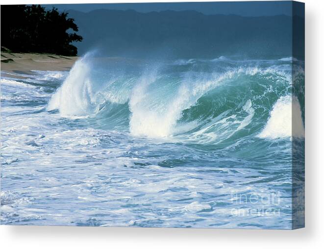 Sunset Beach Canvas Print featuring the photograph Breaking Wave North Shore by Thomas R Fletcher