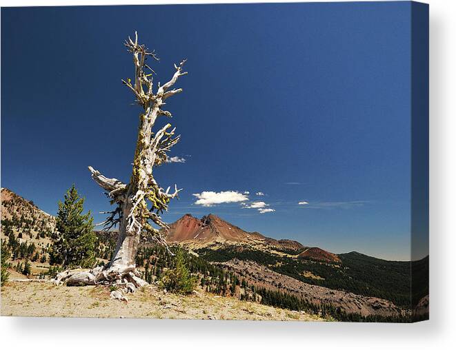 Broken Top Canvas Print featuring the photograph Broken Top and Snag by Scenic Edge Photography