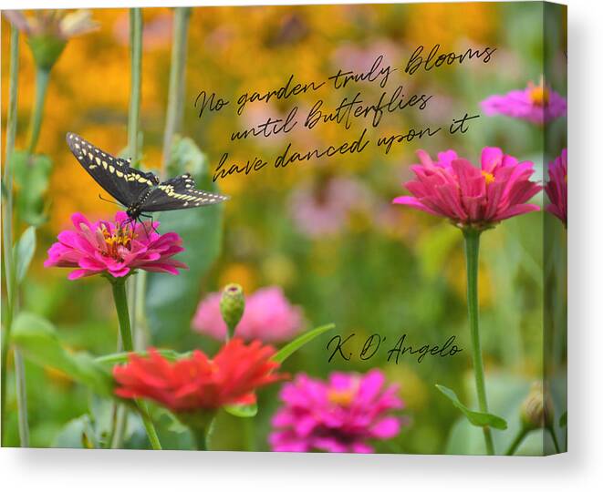 Bloom Canvas Print featuring the photograph BUTTERFLY BOW TIE quote by Jamart Photography