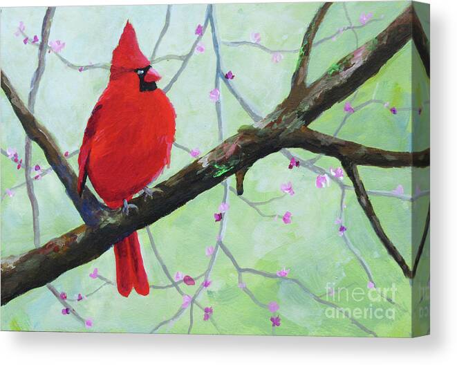 Bird Canvas Print featuring the painting Cardinal on Branch by Anne Marie Brown