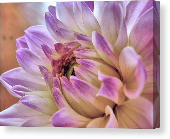 Arrival Canvas Print featuring the photograph Closeup by Jamart Photography