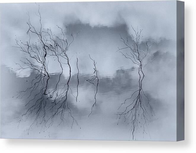 Mood Canvas Print featuring the photograph Cold Reflection by Pphgallery