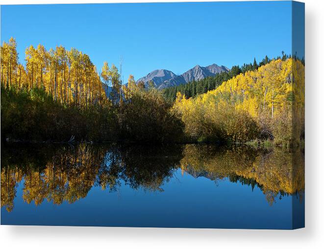 Colorado Canvas Print featuring the photograph Colorado Autumn Mountain and Aspen Reflection by Cascade Colors