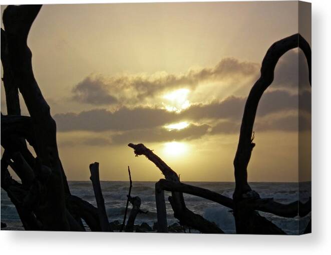 Sky Canvas Print featuring the photograph Driftwood sunset by Martin Smith