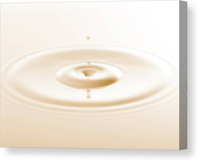 Concepts & Topics Canvas Print featuring the photograph Drop Of Milk by Ldf