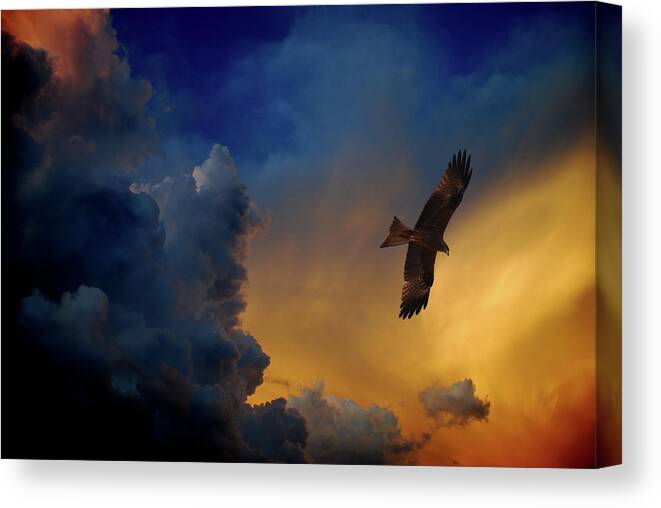 Animal Themes Canvas Print featuring the photograph Eagle Over The Top by Gopan G Nair