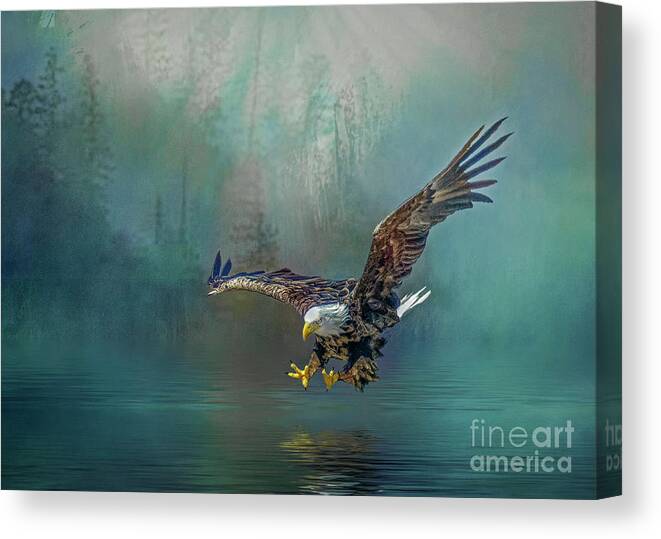Eagle Canvas Print featuring the photograph Eagle swooping for fish by Brian Tarr