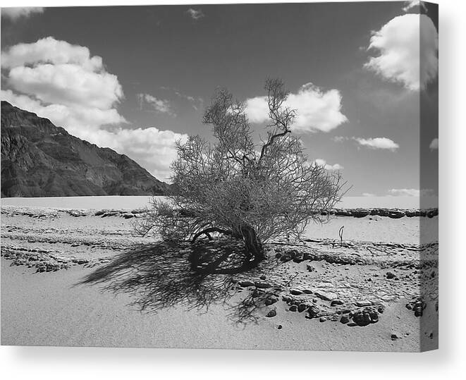 Death Valley Canvas Print featuring the photograph Visions of Eureka Dunes by Joe Schofield