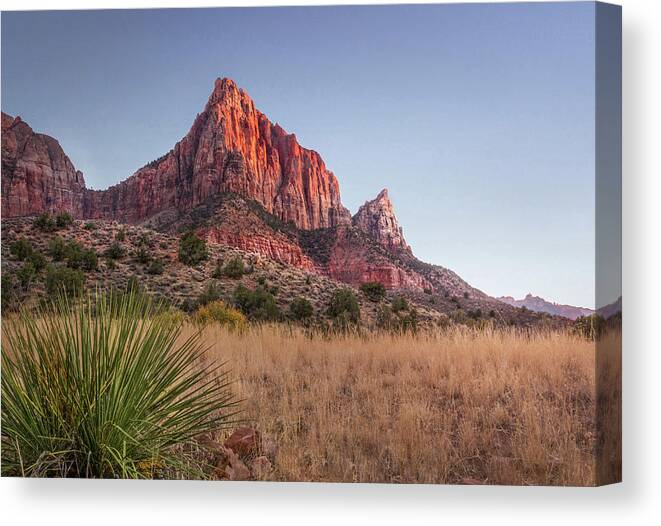 Zion Canvas Print featuring the photograph Evening Vista at Zion by James Woody