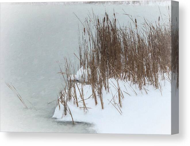 Falling Snow Upon Winter Ladscape Canvas Print featuring the photograph Falling Snow Upon Winter Ladscape by Anthony Paladino