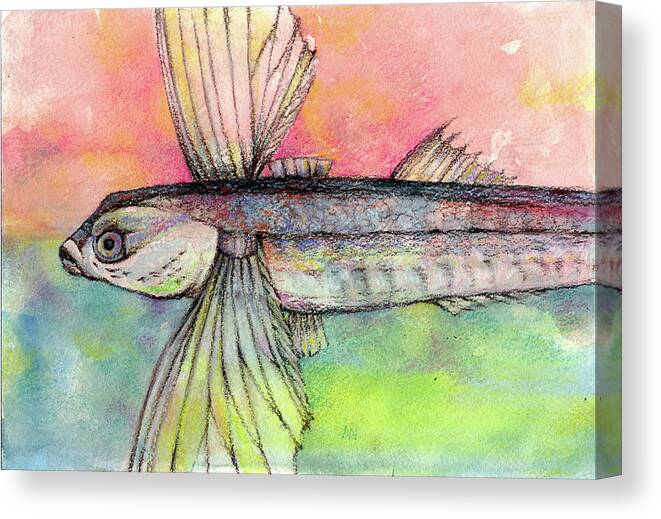 Flying Fish Canvas Print featuring the pastel Flying Fish from Barbados by AnneMarie Welsh