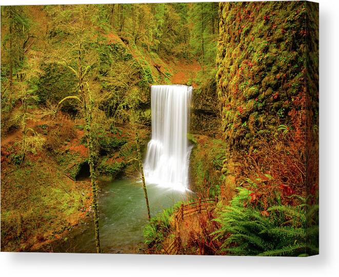 Oregon Canvas Print featuring the photograph Forest Serenity by Gary Kochel