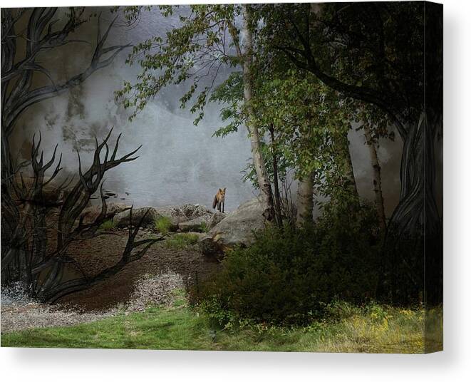 Fox Canvas Print featuring the photograph Fox on Rocks by Russel Considine