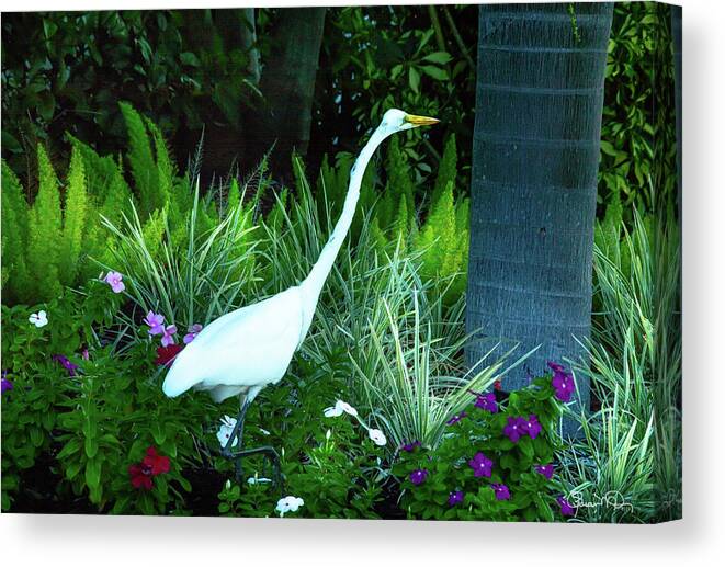 Garden Visitor Canvas Print featuring the photograph Garden Visitor by Susan Molnar