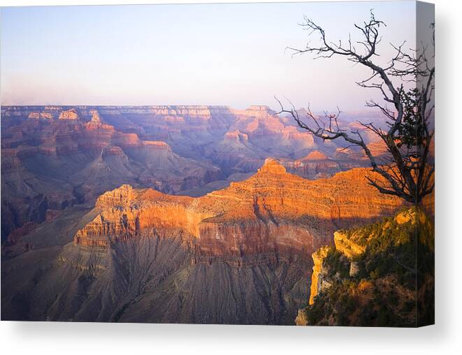 Scenics Canvas Print featuring the photograph Grand Canyon by Maxbaumann
