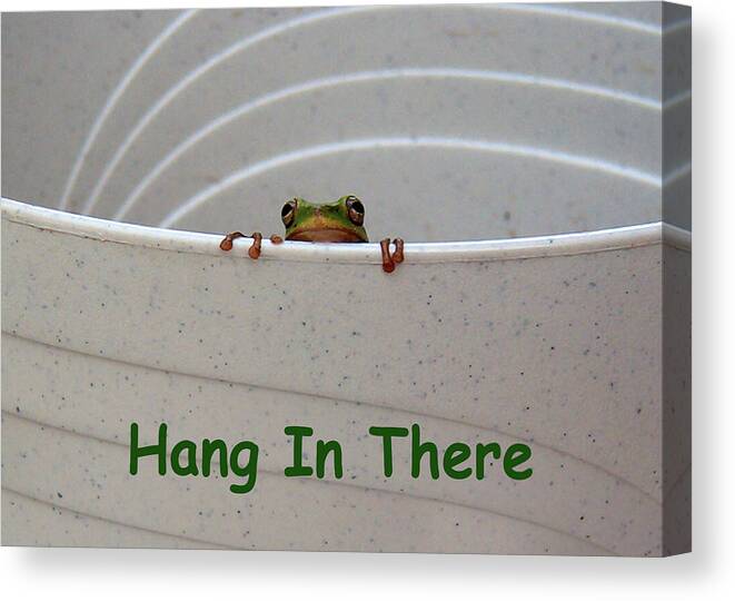 Text Canvas Print featuring the photograph Hang In There by Kathy K McClellan