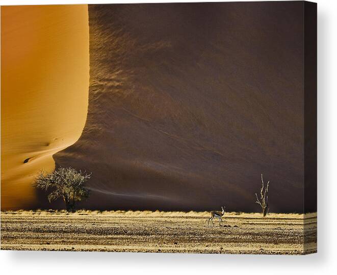 Dune Canvas Print featuring the photograph Here's Looking At You by Andrew Styan