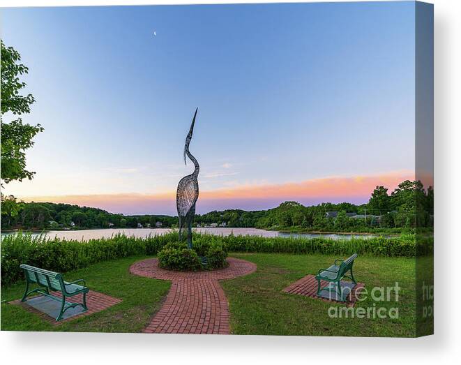 Centerport Canvas Print featuring the photograph Heron Park by Sean Mills