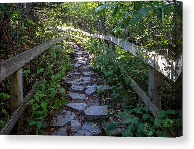 Hiking Canvas Print featuring the photograph Hiking the Mountain to Sea Trail Along the Blue Ridge Parkway by L Bosco
