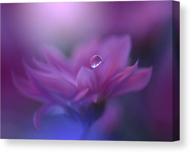 Daisy Canvas Print featuring the photograph I Am Without Form, Without Limit.. by Juliana Nan
