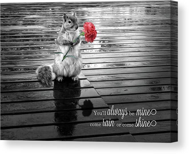 Love Canvas Print featuring the digital art I Love You Squirrel with Carnation Black and White by Doreen Erhardt