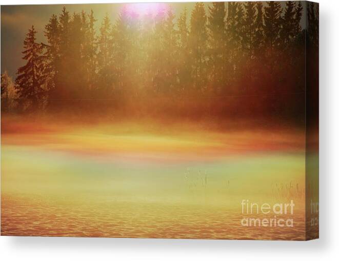 Atmospheric Effect Canvas Print featuring the photograph Iridescence In Fog by Pekka Parviainen/science Photo Library