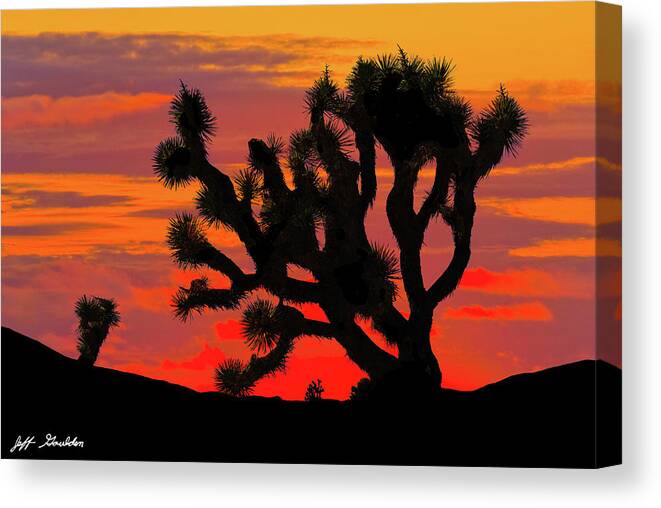 Arid Climate Canvas Print featuring the photograph Joshua Tree at Sunset by Jeff Goulden