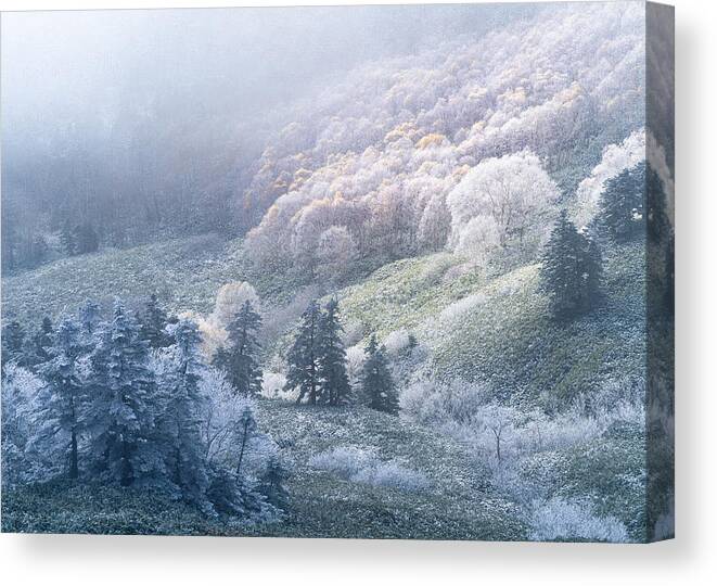 Frost Canvas Print featuring the photograph Last Of Autumn by Ryohei Irie