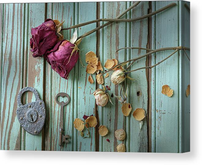 Roses Canvas Print featuring the photograph Last Remembrance 1 by David Smith