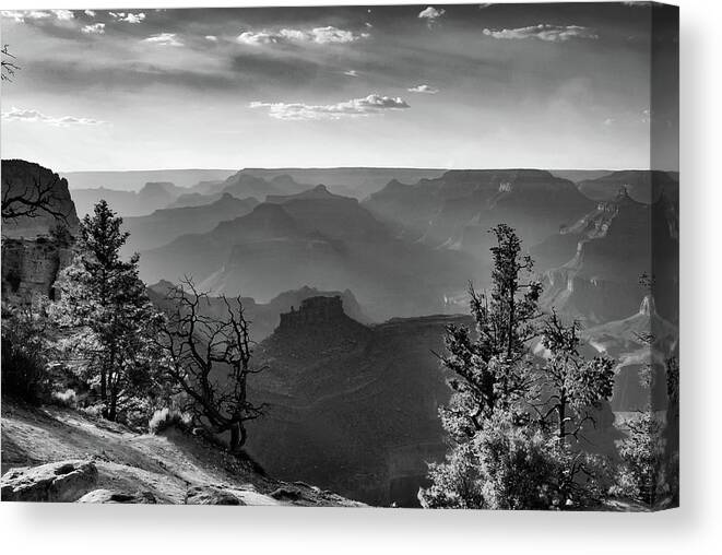 America Canvas Print featuring the photograph Layers of Grand Canyon - Monochrome by Gregory Ballos