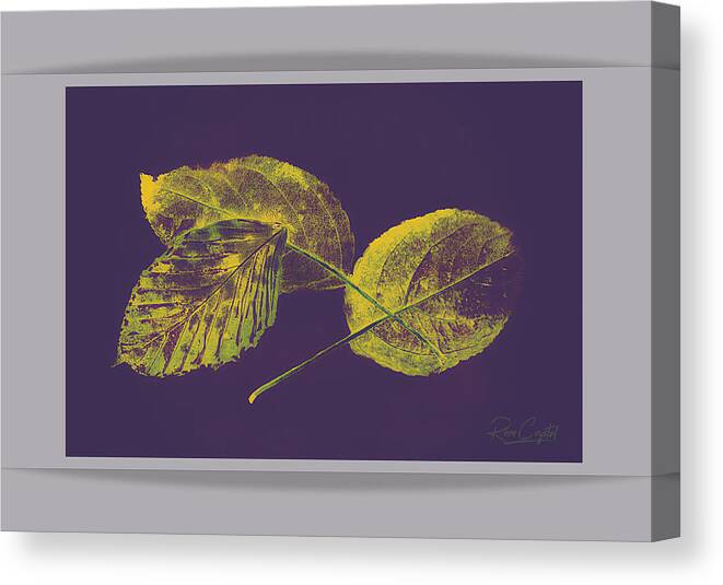 Autumn Canvas Print featuring the photograph Leaving In A Blaze Of Purple by Rene Crystal