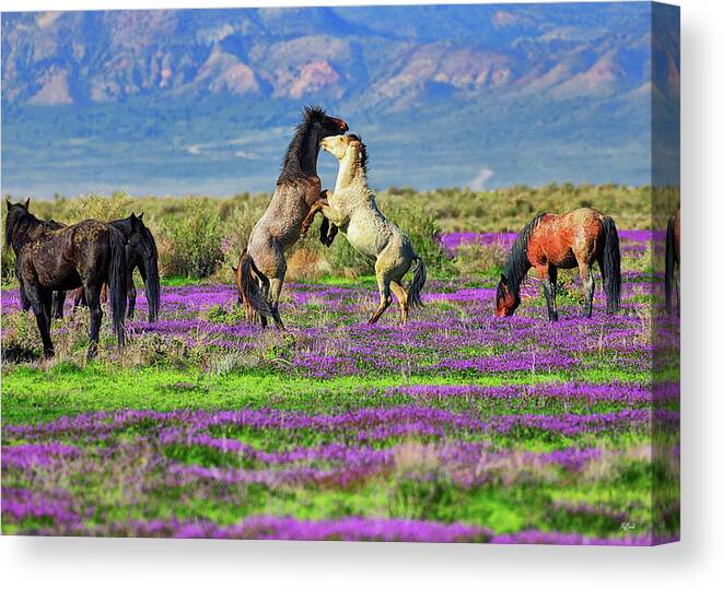 Horses Canvas Print featuring the photograph Let's Dance by Greg Norrell