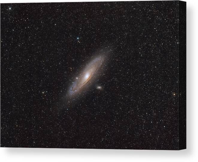 #m31 #andromedagalaxy #andromeda #galaxy Canvas Print featuring the photograph M31 Andromeda Galaxy by Brett Joslin