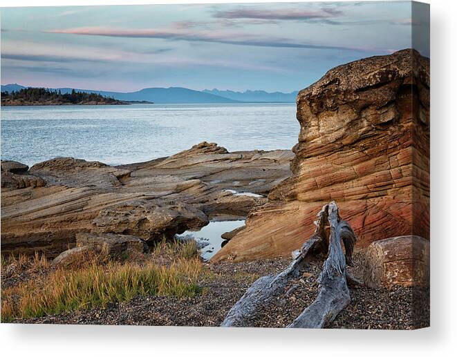 Madrona Point Canvas Print featuring the photograph Madrona on a Summer Evening by Randy Hall