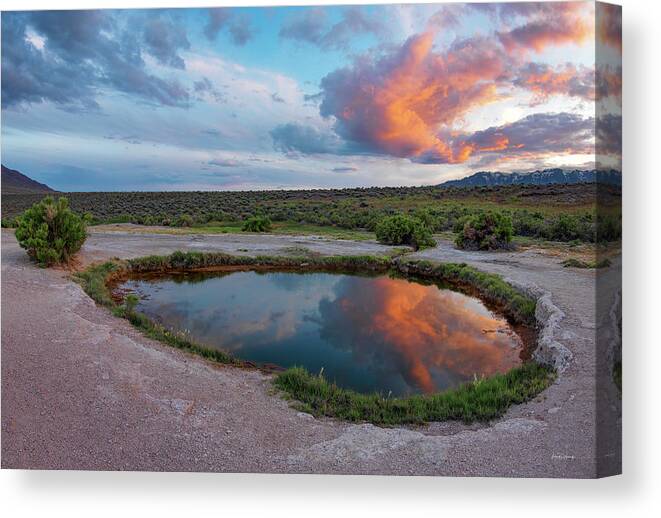 Alvord Desert Canvas Print featuring the photograph Mickey Hot Springs 1 by Leland D Howard